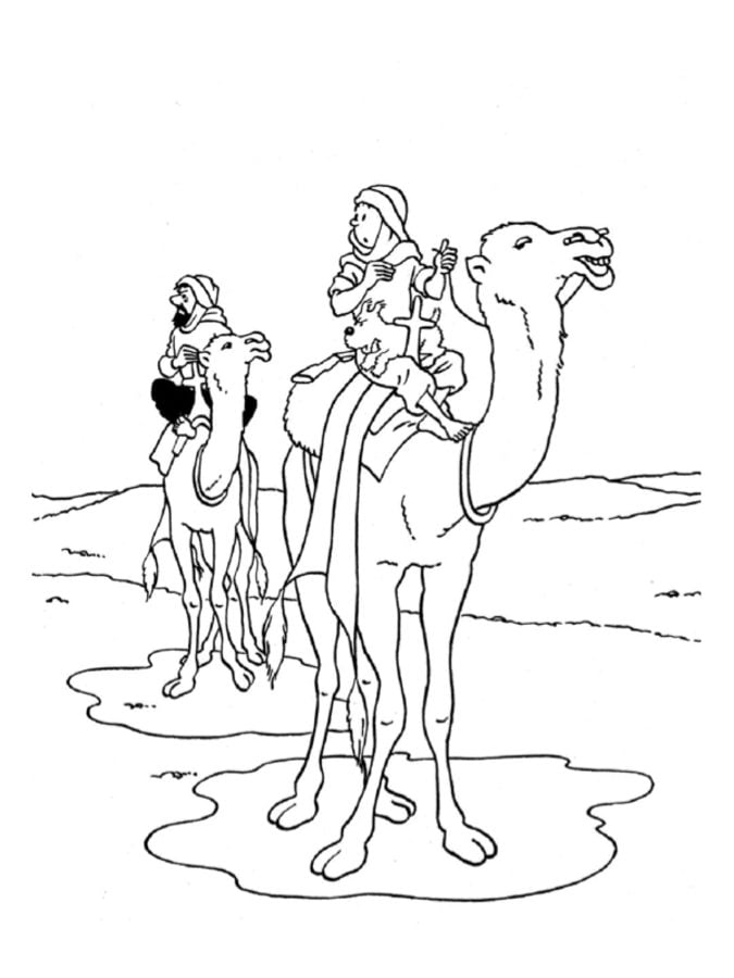 Coloring pages: Tintin 7