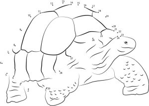 Connect the dots: Turtle, printable for kids &amp; adults, free