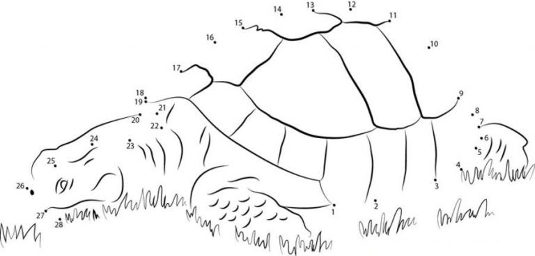 Relier les points: Tortue imprimable, gratuit, pour les enfants et les