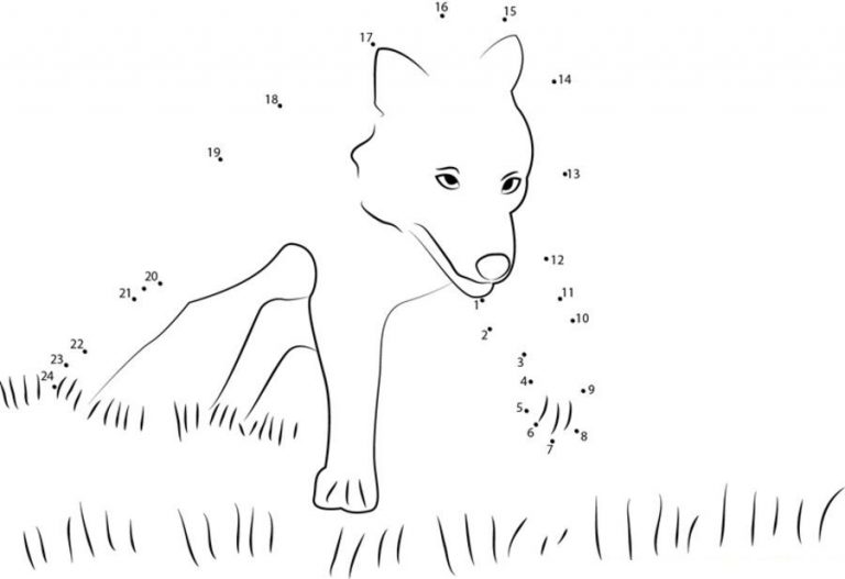 Connect the dots: Wolf, printable for kids &amp; adults, free