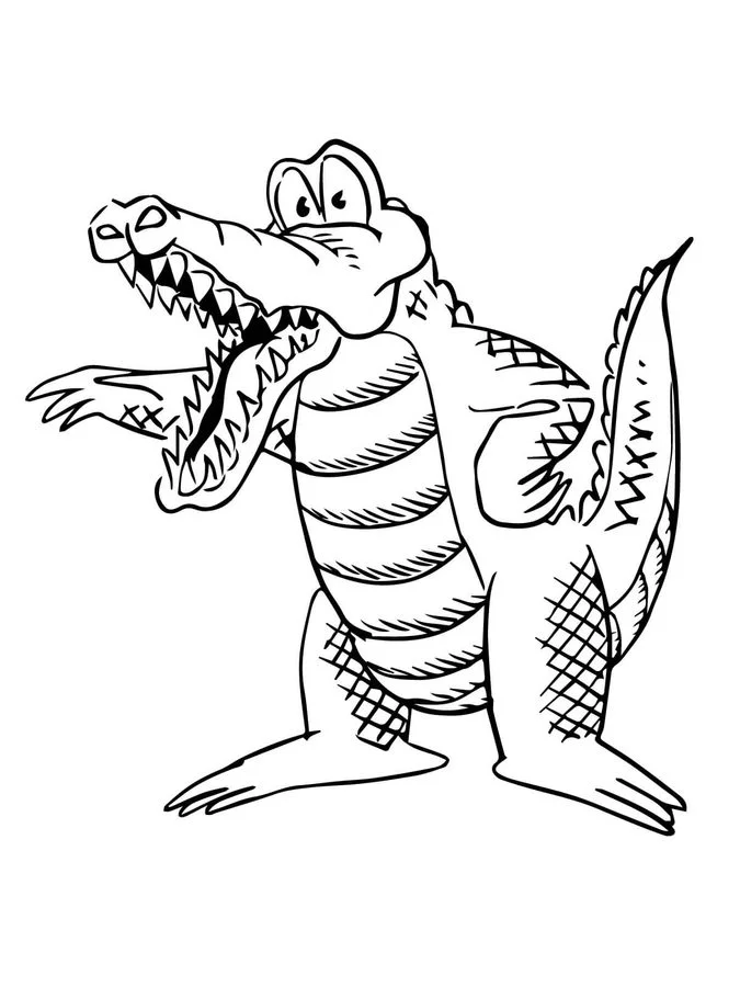 Coloring pages: Alligators, printable for kids & adults, free