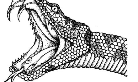 Dibujos para colorear: Anaconda