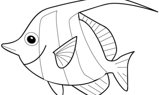 Coloring pages: Angelfish