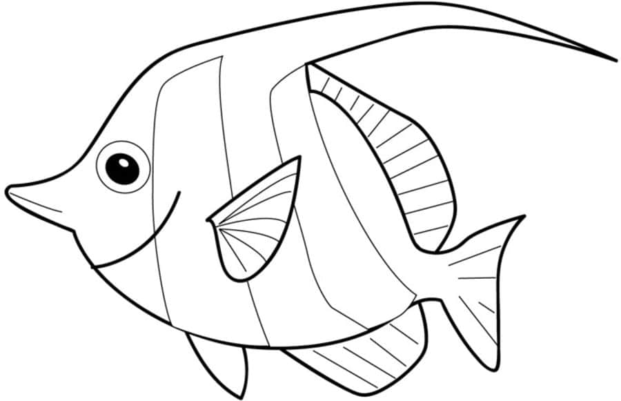 Coloriages: Poissons-anges