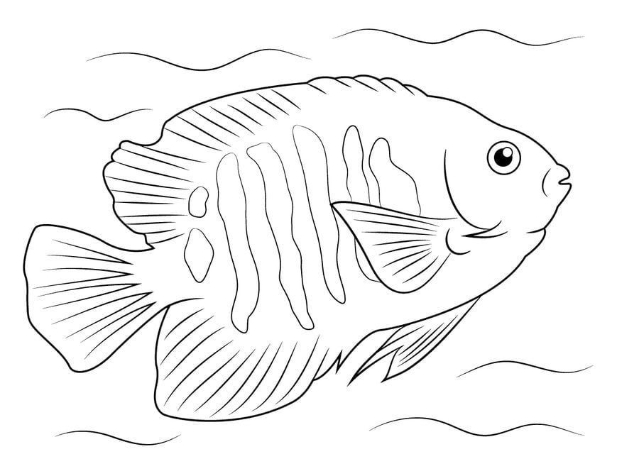 Coloriages: Poissons-anges 7