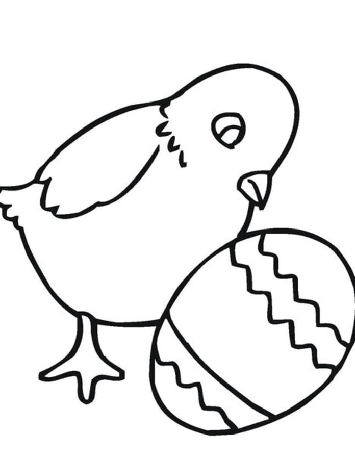 Dibujos para colorear: Polluelo