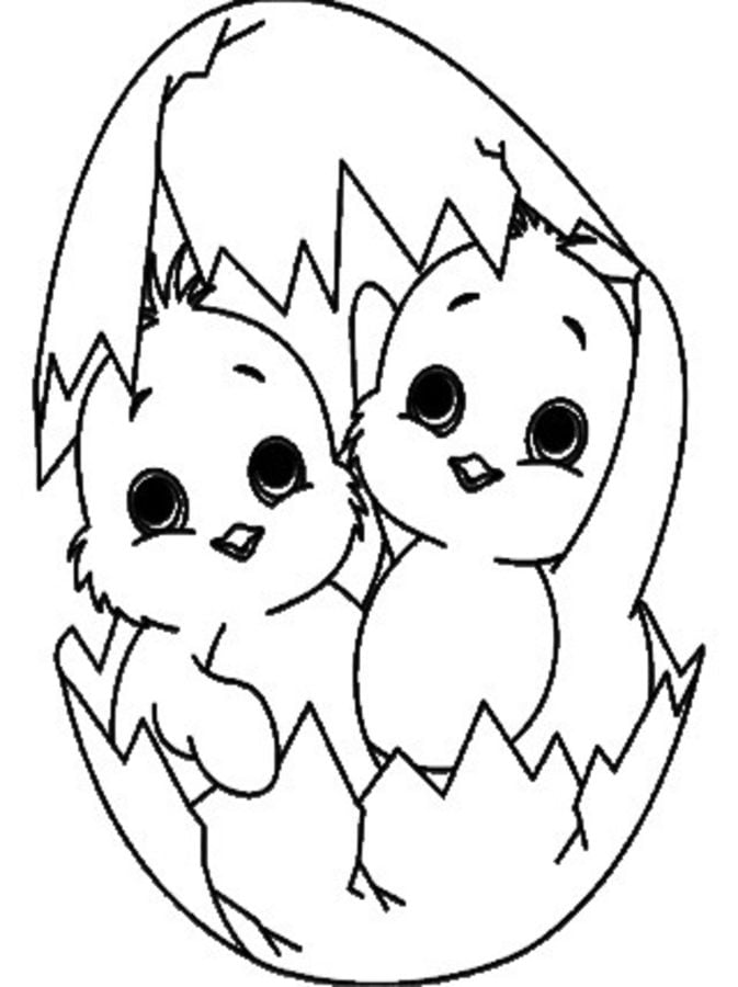 baby chick coloring pages free kindergarten - photo #9