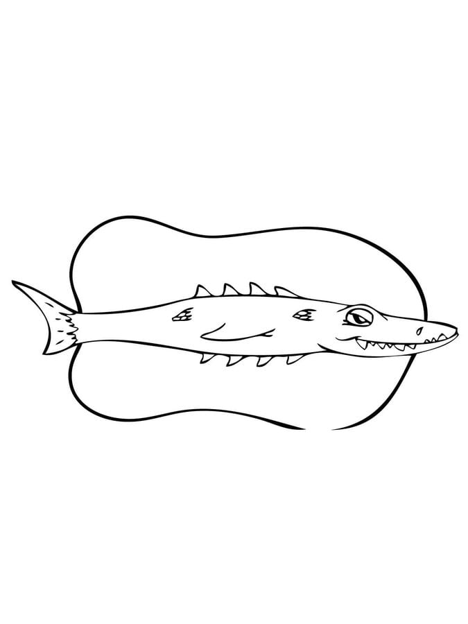Dibujos para colorear: Barracudas
