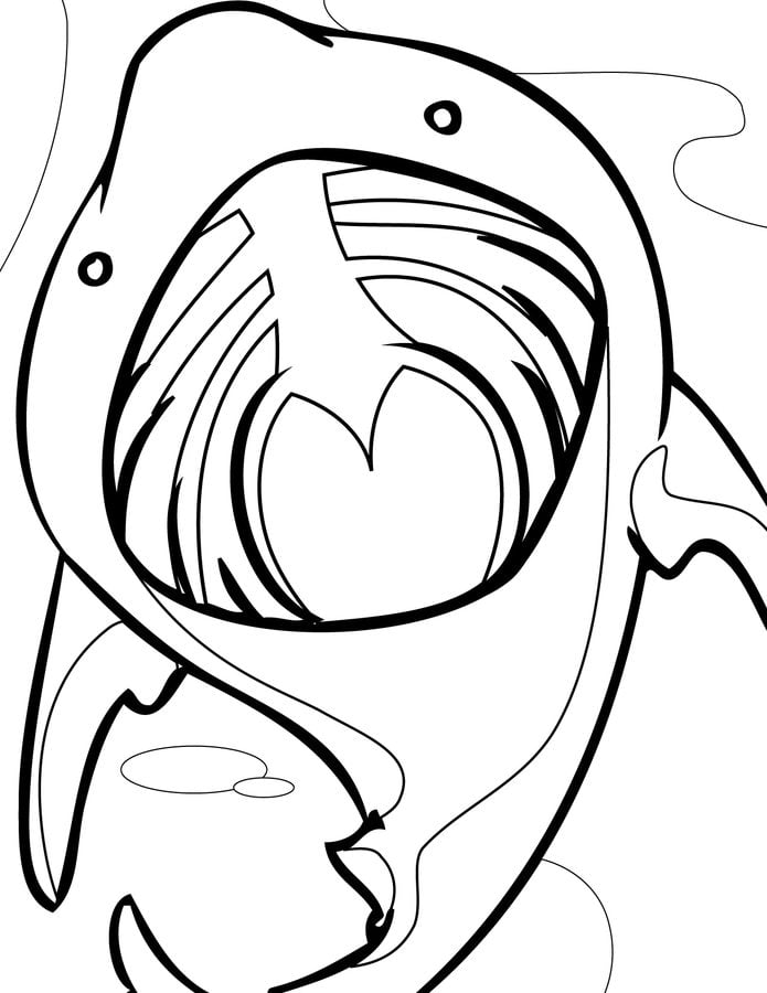 Coloring pages: Basking shark