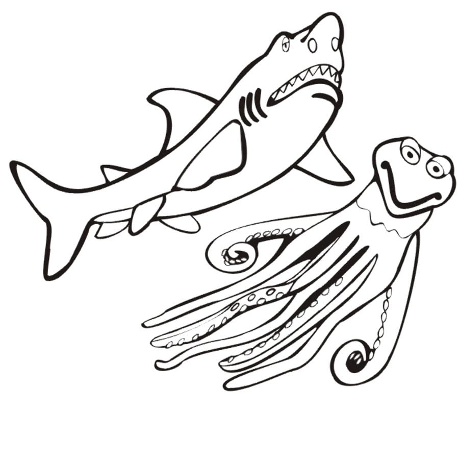 Dibujos para colorear: Tiburón peregrino