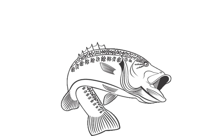 Coloring pages: Basses 1