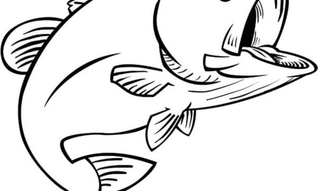 Coloring pages: Basses