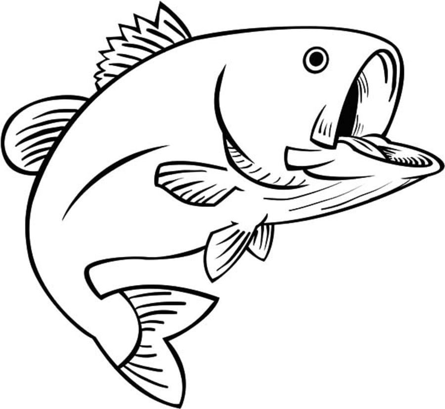 Coloring pages: Basses 10