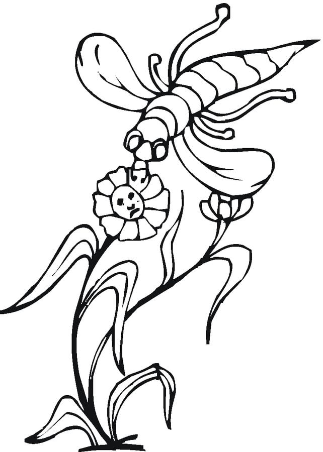 Coloring pages: Bees