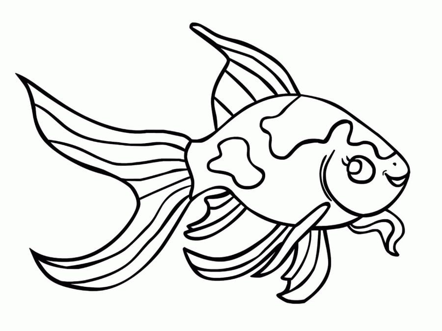 Coloring pages: Betta fish 7