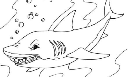 Coloring pages: Blue sharks