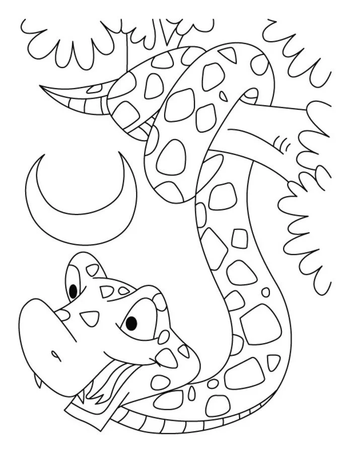Coloring pages: Boa Constrictor