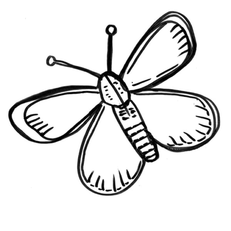 Coloring pages: Butterfly
