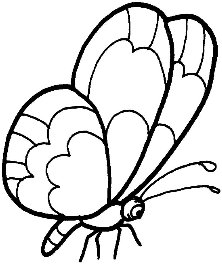 Coloring pages: Butterfly