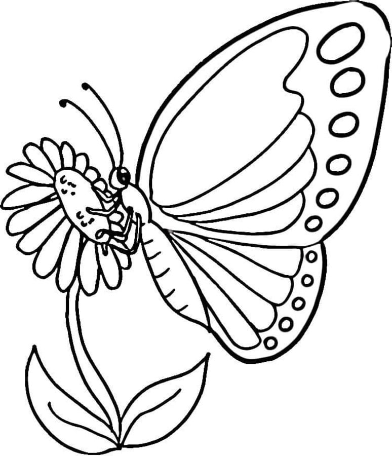 Ausmalbilder: Schmetterling