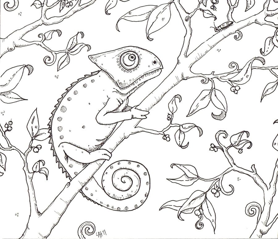 Coloring pages: Chameleon