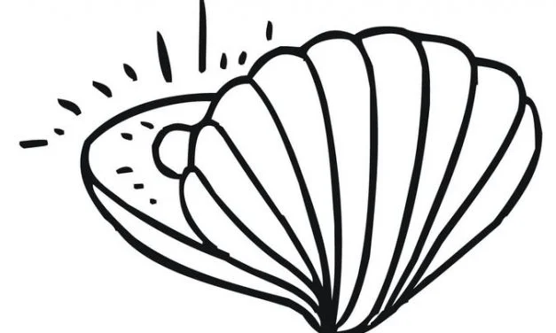 Coloring pages: Clam