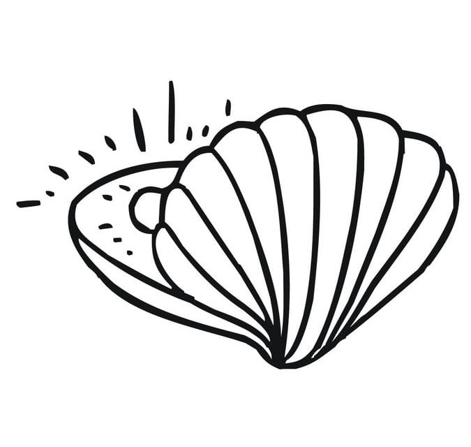 Coloring pages: Clam