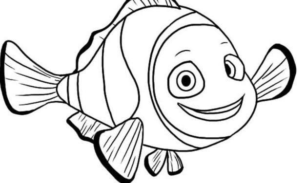 Coloring pages: Clownfish