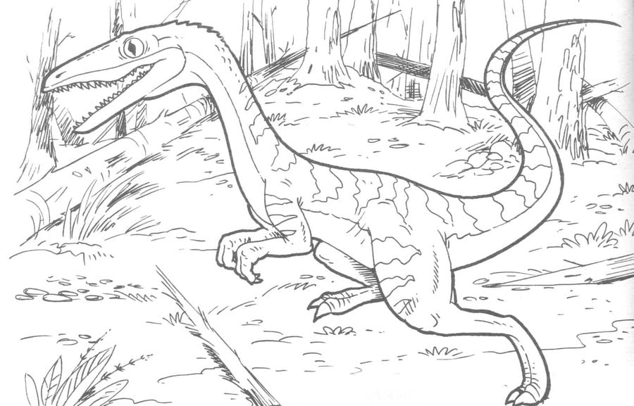 Coloring pages: Coelophysis