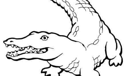 Coloring pages: Crocodile