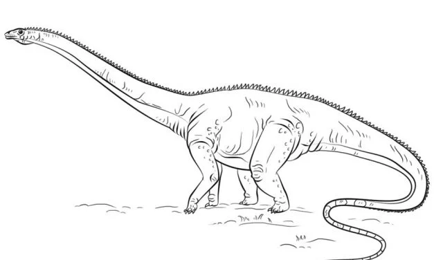 Coloring pages: Diplodocus