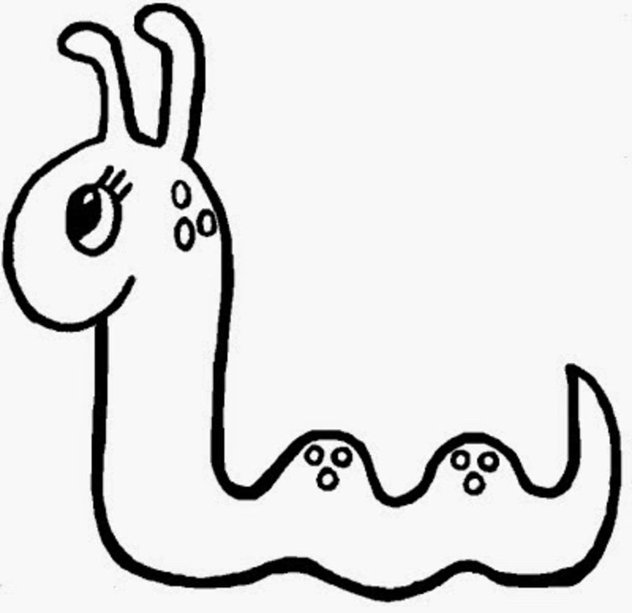 Coloring pages: Earthworms