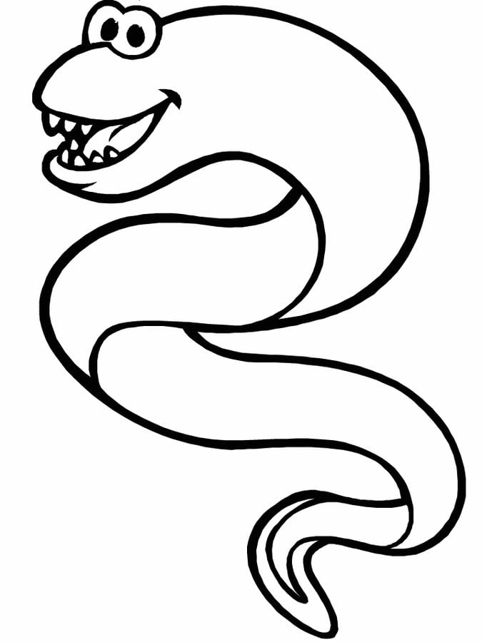 Coloring pages: Eels 4