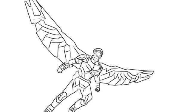 Coloring pages: Falcon