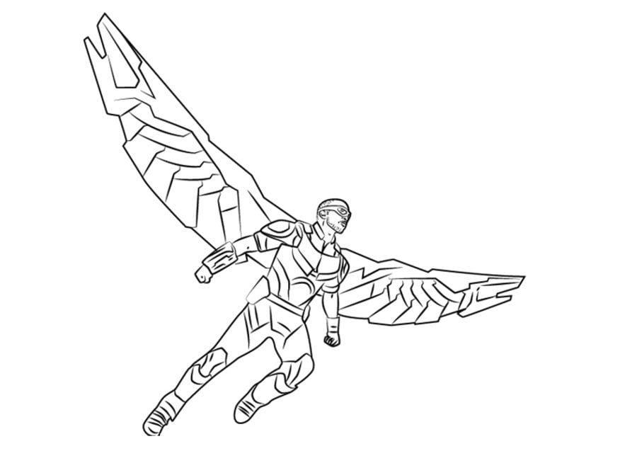 Coloring pages: Falcon