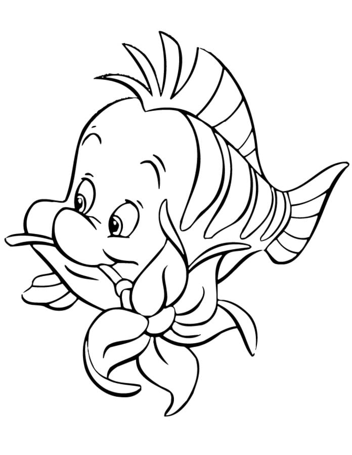 Coloring pages: Flounders