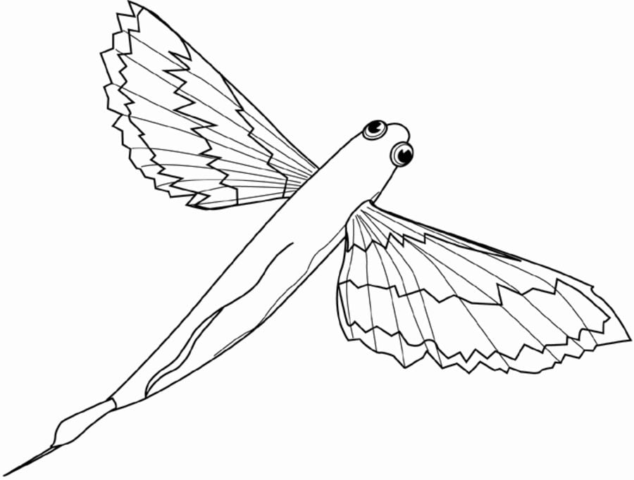 Coloring pages: Flying fish