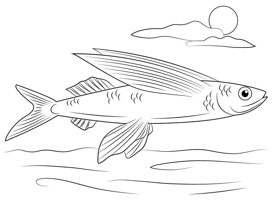 Coloriages: Poissons volants