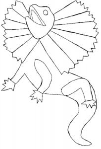 Coloring pages: Frill-necked lizard, printable for kids & adults, free