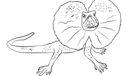 Dibujos para colorear: Chlamydosaurus kingii