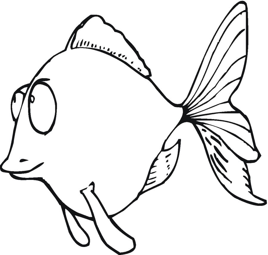 Coloring pages: Goldfish