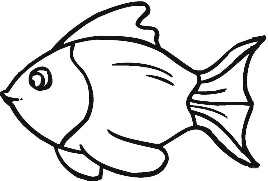 Coloring pages: Goldfish