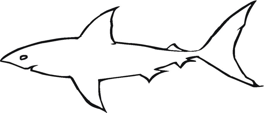 Ausmalbilder: Weißer Hai zum ausdrucken, kostenlos, für Kinder und