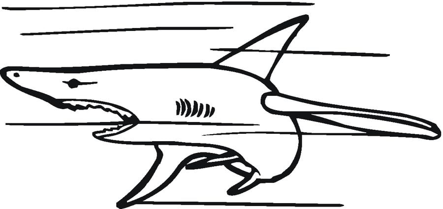 Coloring pages: Great white shark 8