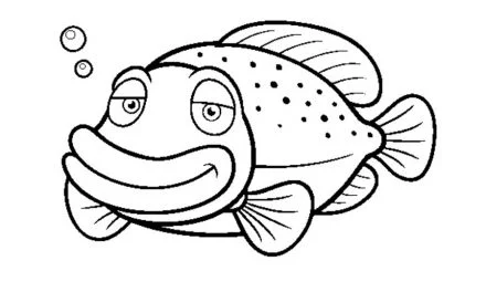 Coloring pages: Grouper