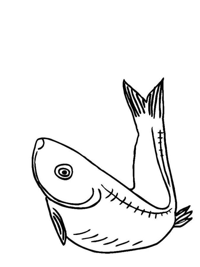 Coloring pages: Herring