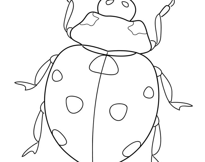 Coloring pages: Ladybug