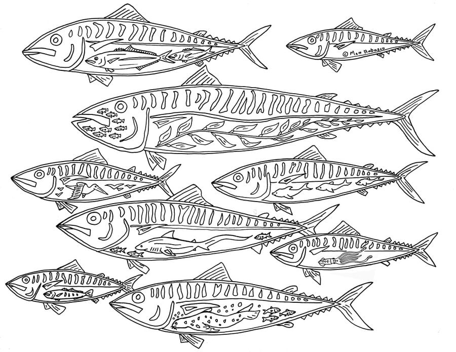 Coloring pages: Mackerels