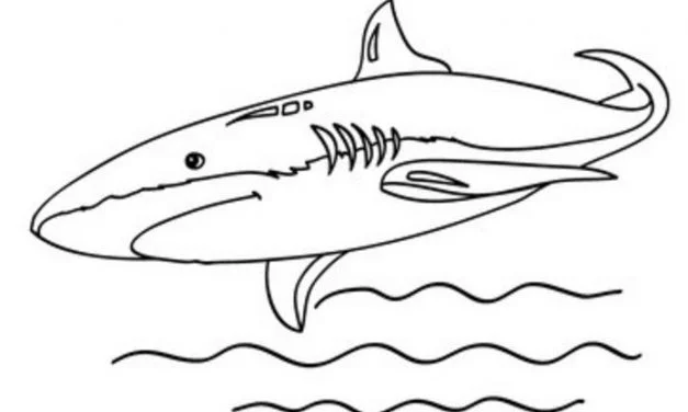 Coloring pages: Mako sharks