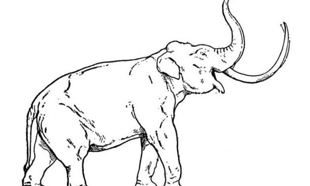 Ausmalbilder: Mammut